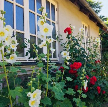 NordsoeHousing-Rørby