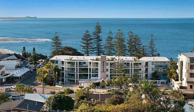 Norfolks on Moffat Beach