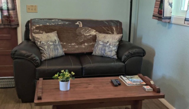 Norfork Lake - Quaint 2 bedroom, no stairs. By the pool -camp store - pavilion.