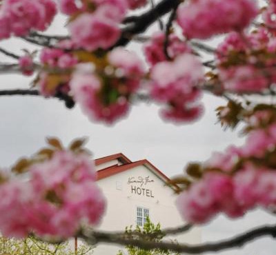 Normandy Farm Hotel & Conference Center