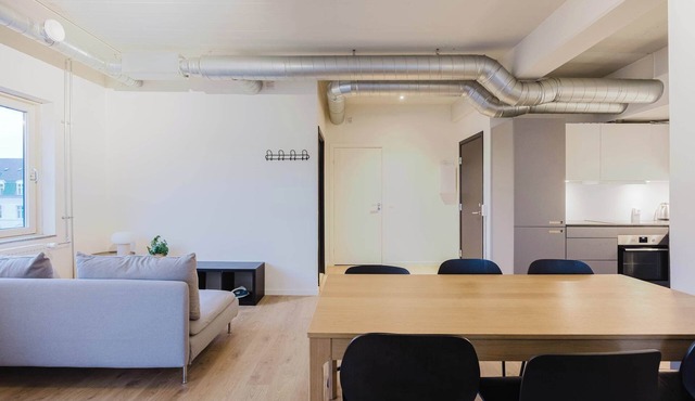 Norrebro big apt Summ