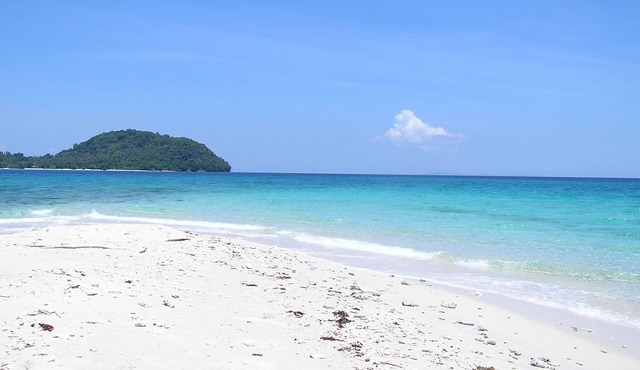 North Borneo Biostation Resort