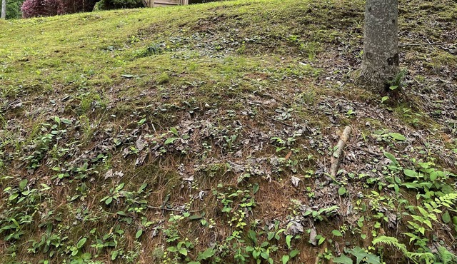 North East Georgia mountain cabin with Lake Burton views, gazebo, and fire pit.