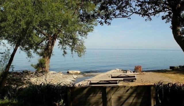 North East Lake House Apt #1