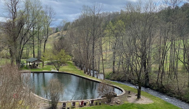 North GA Mountain Paradise Natural Swimming Pool and Stream