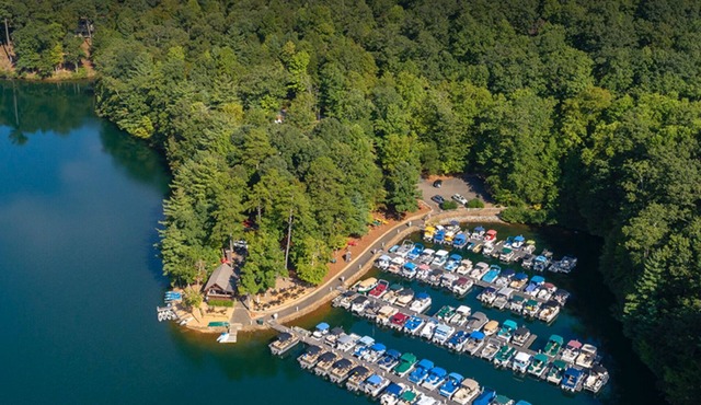 North Georgia Mountains/Lake and Golf Views- Pet Friendly