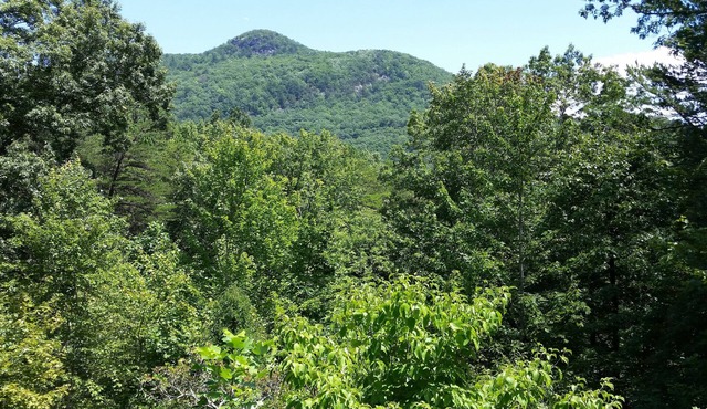 North Georgia Mountain Place