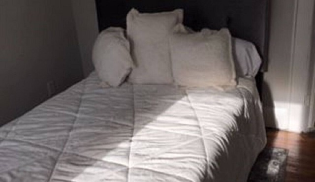 North Jersey Apartment nestled near NYC