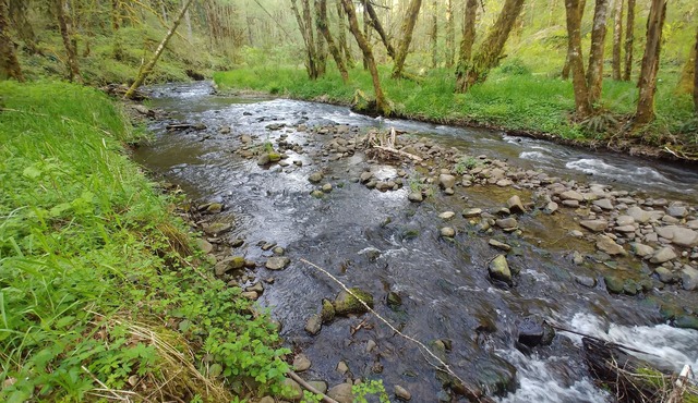North Plains Home on a Stream in foothills of the Coast Range Mtns Unplug Zone