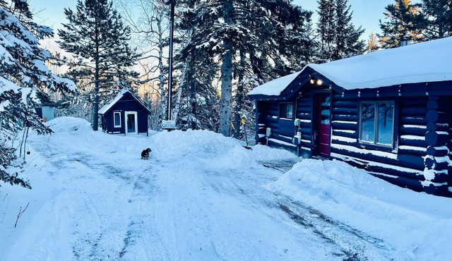 North Shore Tiny Log Cabin Retreat