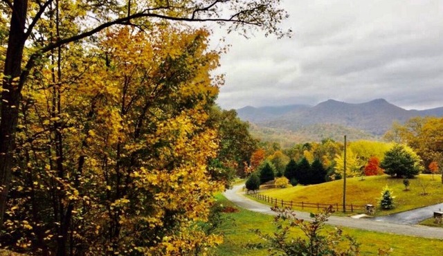 Northeast GA Mountain Cabin-Dillard GA