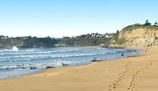 Northern Beaches Spacious 2 bed Apartment