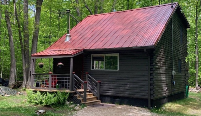 Northern Bliss Cabin near Wilderness State Park & Mackinaw