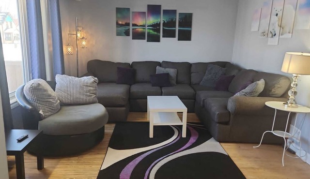 Northside Comfort 2 ! Pet Friendly Budget Rental Close to HSC and The Forks