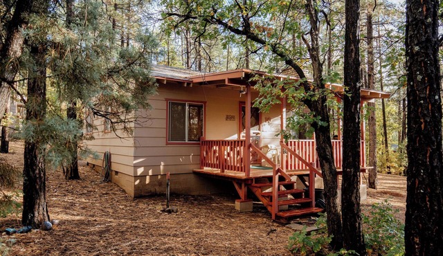 Northwoods (#10) Cabin in the Pines