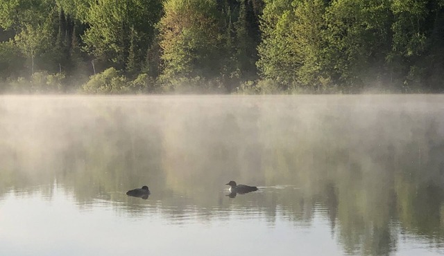 Northwoods waterfront upper one bedroom unit on the Spirit River Flowage.