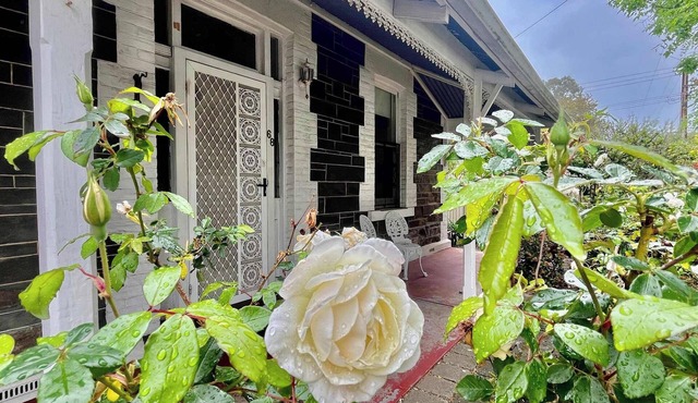 Norwood Retreat | 3BR in Prime Location