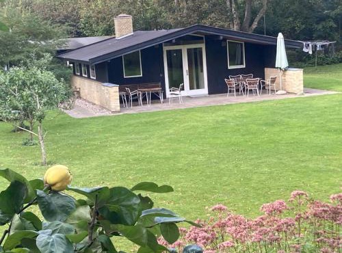 Nostalgic 1960S Idyll