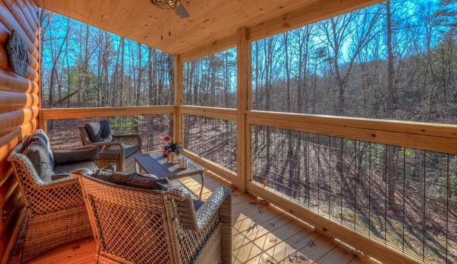 Not-So-Tiny Cabin - King Bed - Secure Dog Yard
