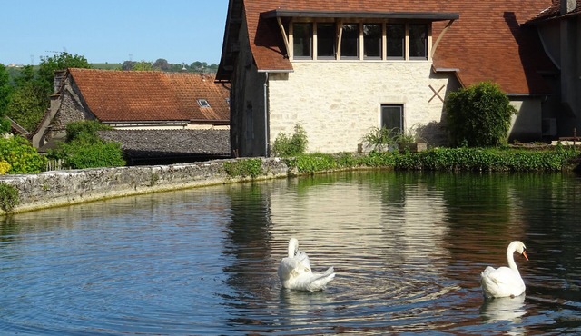 Notre Moulin Vous Ouvre ses Portes Dans une Atmosphère Authentique