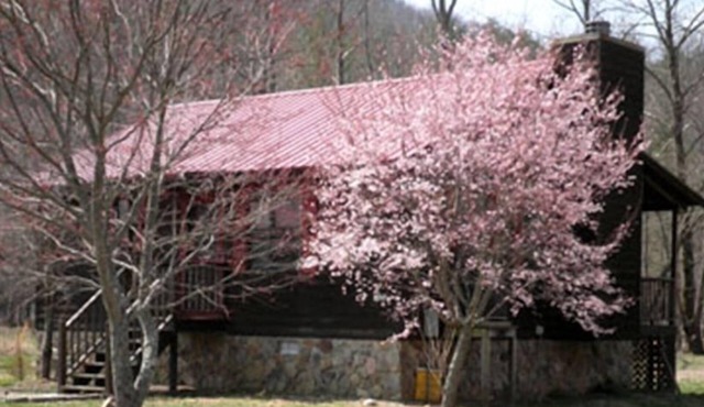 Nottely River Cabin- Fishing-Vogel St. ParknUnion County, GA STR License#004814