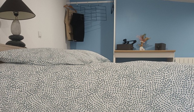 Nouveau Loft T2 Connecté Fibre et Wifi