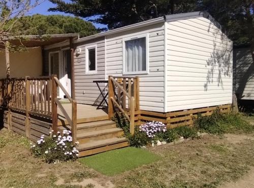 Novela Mobil Home No 53