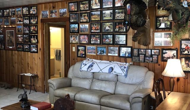 NOW BOOKING FOR SUMMER and FALL 2021