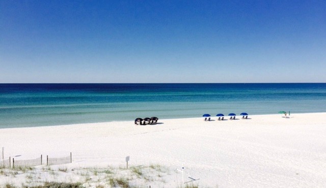 NOW BOOKING FOR SPRING BREAK and SUMMER. DOG FRIENDLY WITH PET FEE.