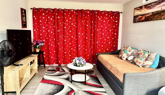 NRG and Med center 2-bedroom apartment with WiFi, AC in welcoming Houston