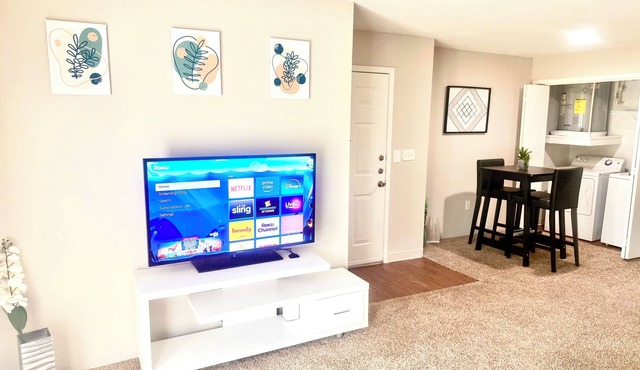 NRG STADIUM PERFECT ONE BEDROOM APARTMENT.