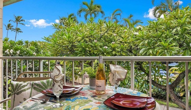 NS D227 OceanFront Resort w Pool