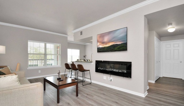 Nude Passion -2 Bdrm / 2Bath Close to NRG & Med Center