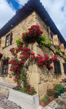 Nuestra casa de Luriezo