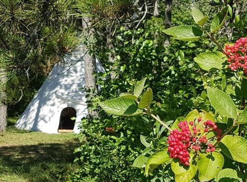 Nuitée en Tipi Lakota au domaine de KAYANE