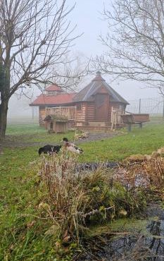Nuit insolite, repas autour du feu piscine sauna jaccuzi