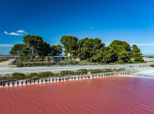 Nuits Salines Aigues-Mortes