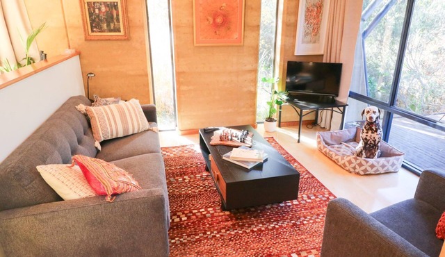 Number Forty Two – where comfort, character, and the meaning of life all come together.