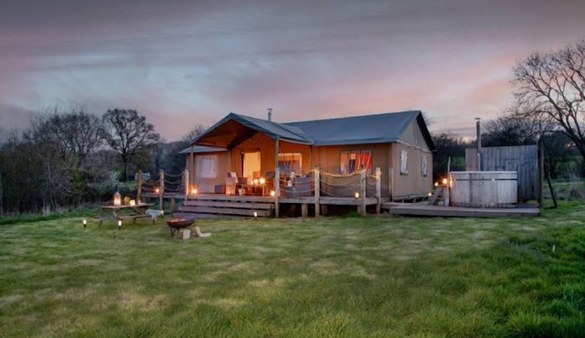 Nuthatch at Kittisford Barton in Somerset