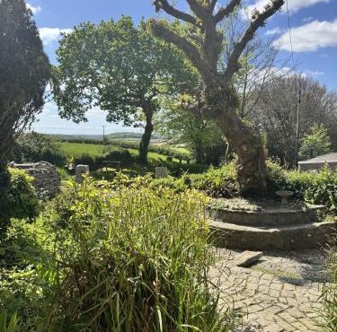 Nuthatch by Together Travel - Luxury Cornish Countryside Retreat