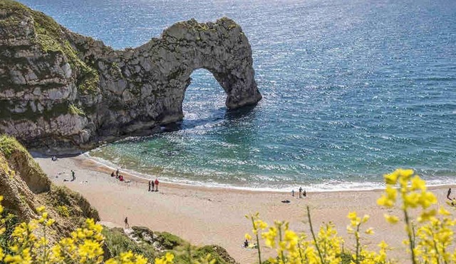 Nuthatch Cabin at Cloudshill Glade - Campsite