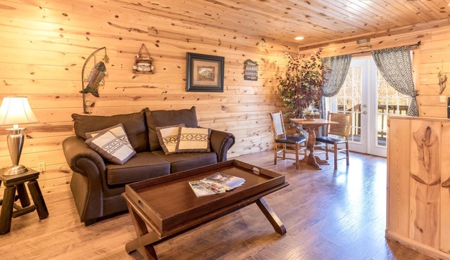 NVM Angler's Lure - Pet Friendly Room at the Nacoochee Valley Motel