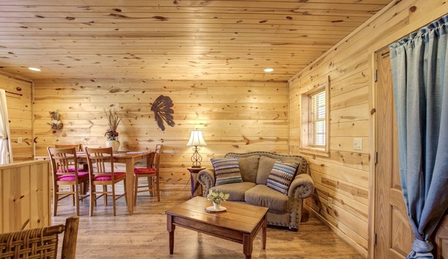 NVM Shenandoah Peace - Pet Friendly Room at the Nacoochee Valley Motel