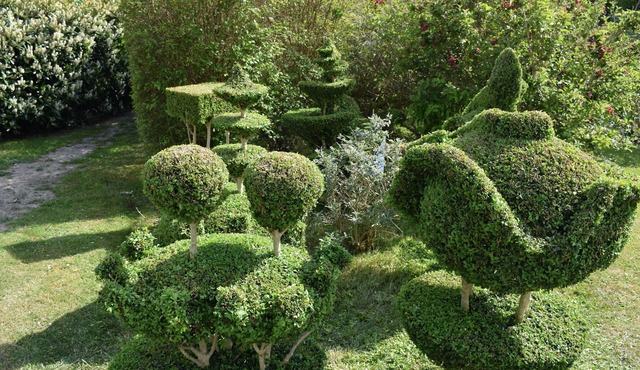 NyGammelsø Bed and Breakfast