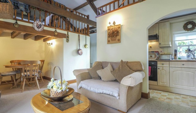 Nyth y Wennol, Aberaeron