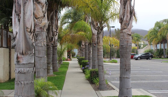 O'cairns Inn & Suites