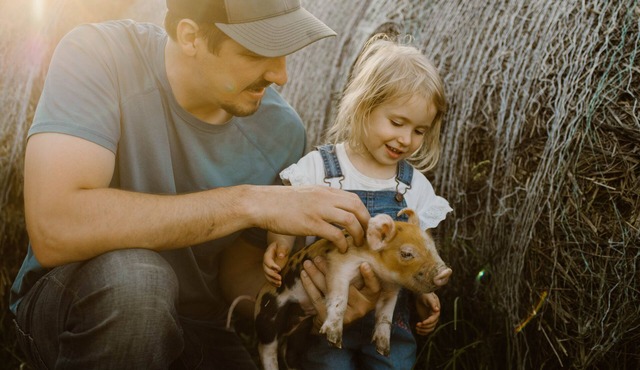 O'Halloran House-Feathered Acres Learning Farm & Inn