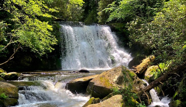 O'Henry's Getaway - Tail of the Dragon - Secluded Vacation Retreat Cheoah River