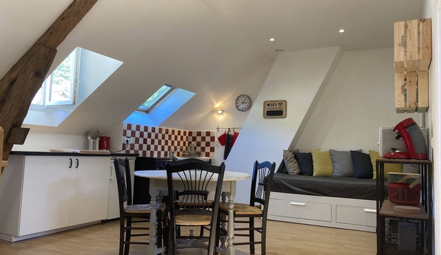 O MONTRICHARD ZOO DE BEAUVAL AIR-CONDITIONED CASTLE