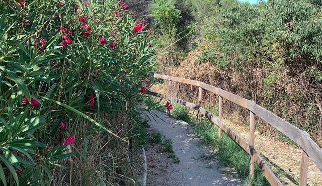 Ô Soleil de Bagnols, gite with private pool, pets welcome